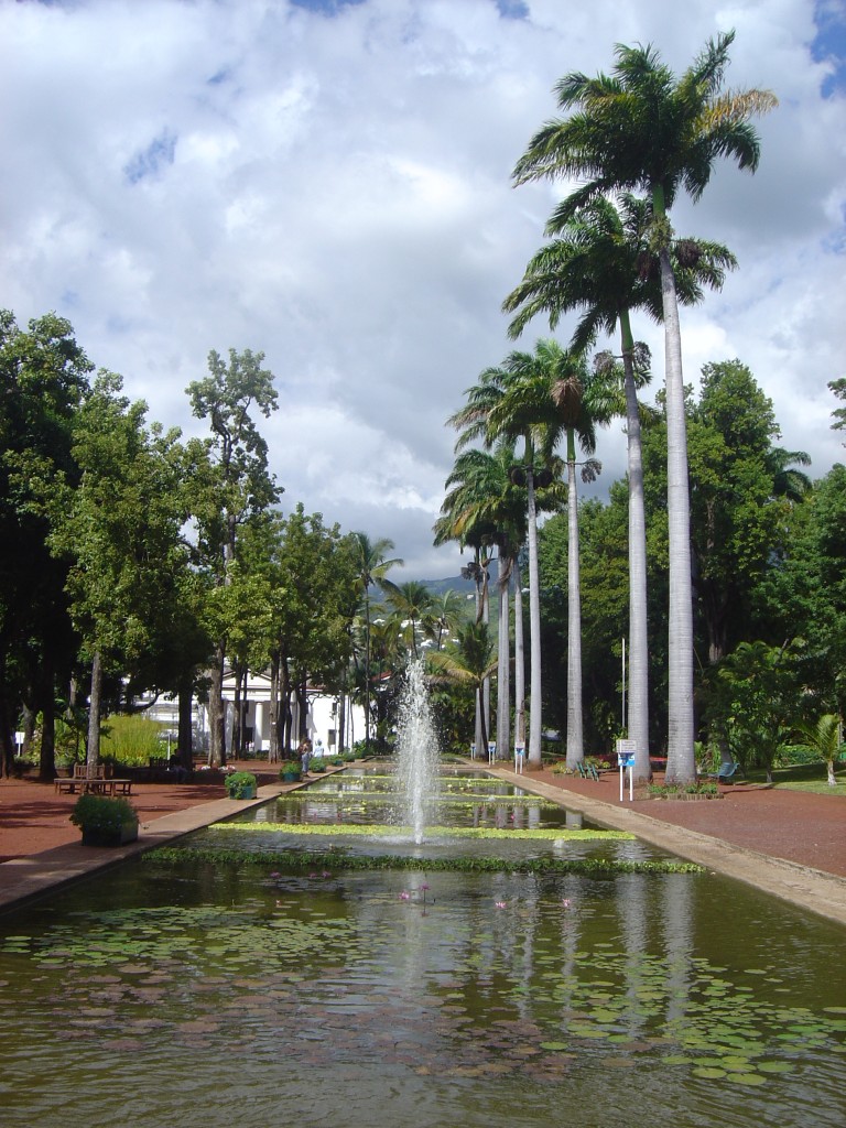 Jardin de l'Etat - Saint Denis - La Réunion
